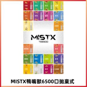 MIST X 鴨嘴獸6500口拋棄式電子煙#台灣現貨#